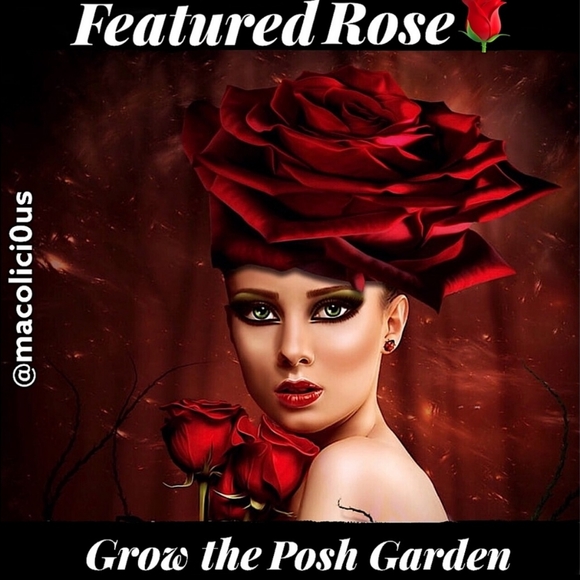 I'm featured 12/10/22host @macolici0us thank you! - Picture 7 of 9